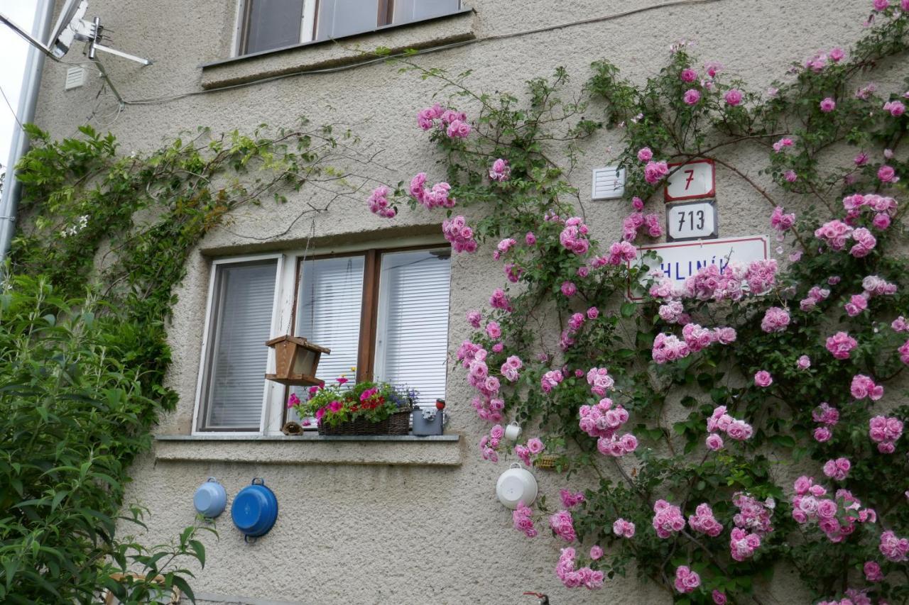 Apartment At Sedliacky Dvor - Brezno Buitenkant foto